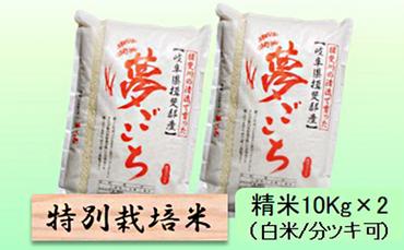 特別栽培米★精米20kg（白米/5分/7分ツキ可）【夢ごこち】 玄米は別に出品
