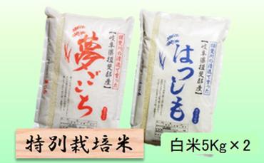 特別栽培米★白米10kg 【夢ごこち・ハツシモ】各5Kg