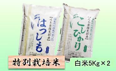 特別栽培米★白米10kg 【ハツシモ・コシヒカリ】各5Kg