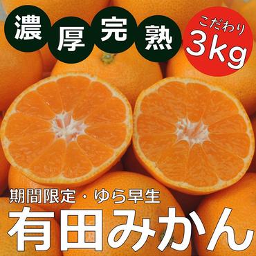 北真農園　有田みかん　ゆら早生 濃厚完熟 3kg お試しサイズ ORYY推奨 ※2024年11月上旬～12月下旬頃に順次発送予定