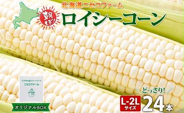 【 2025年 先行予約 】 北海道産 とうもろこし 計24本 L-2L サイズ混合 ロイシーコーン 大きめ 旬 朝採り 新鮮 トウモロコシ 甘い 夏野菜 とうきび お取り寄せ 産地直送 野菜 しりべしや 送料無料