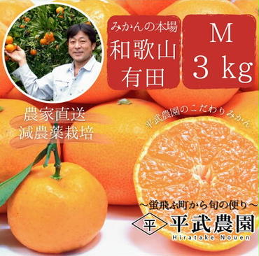 AX6036n_【平武農園より農家直送！】有田みかん 3kg Mサイズ《秀品》 蛍飛ぶ町から旬の便り