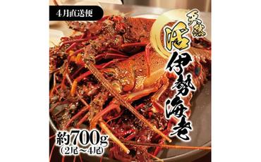 4月直送便 土佐獲れ 活伊勢海老 約700g（２尾～４尾） 天然 エビ　えび 伊勢エビ 海鮮 お刺身 刺し身 丸焼き しゃぶしゃぶ 故郷納税 ふるさとのうぜい 返礼品 高知県 高知 27000円