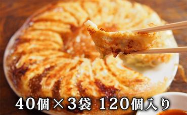 北海道産豚肉の餃子 120個｜北海道 滝川市 ギョウザ 餃子 ぎょうざ 中華 惣菜 お惣菜 おかず