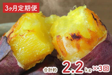 EY-8　【3ヶ月定期便】熟成紅はるかの冷凍焼き芋約2kg＋おまかせ品種さつまいも　合計約2.2kg！