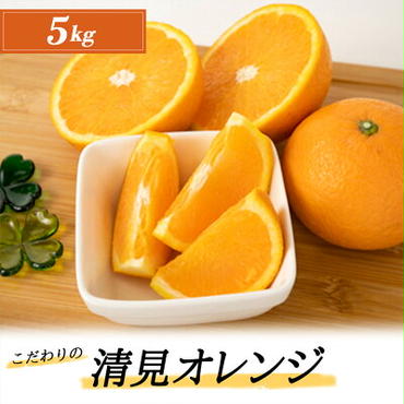 ZT6207n_こだわりの 清見 オレンジ 5kg 藤秀園
