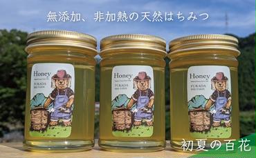 合計690g 天然蜂蜜 国産蜂蜜 非加熱 生はちみつ 岐阜県 美濃市産 初夏 (蜂蜜230g入りガラス瓶3本セット)B3