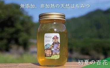 天然蜂蜜 国産蜂蜜 非加熱 生はちみつ 合計600g 岐阜県 美濃市産 5/31 (蜂蜜600g入りガラス瓶1本)B5