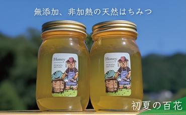 天然蜂蜜 国産蜂蜜 非加熱 生はちみつ 合計1200g 岐阜県 美濃市産 5/31 (蜂蜜600g入りガラス瓶2本セット)B6