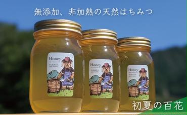 合計1800g 天然蜂蜜 国産蜂蜜 非加熱 生はちみつ 岐阜県 美濃市産 初夏 (蜂蜜600g入りガラス瓶3本セット)B7