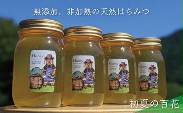 合計2400g 天然蜂蜜 国産蜂蜜 非加熱 生はちみつ 岐阜県 美濃市産 初夏 (蜂蜜600g入りガラス瓶4本)B8