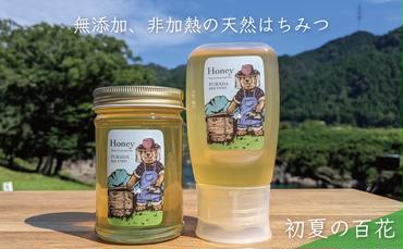 合計530g 天然蜂蜜 国産蜂蜜 非加熱 生はちみつ 岐阜県 美濃市産 初夏 (蜂蜜230g入りガラス瓶1本、蜂蜜300g入りピタッとボトル1本のセット)B13