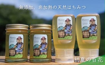 合計1060g 天然蜂蜜 国産蜂蜜 非加熱 生はちみつ 岐阜県 美濃市産 初夏 (蜂蜜230g入りガラス瓶2本、蜂蜜300g入りピタッとボトル2本のセット)B14