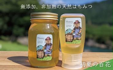 天然蜂蜜 国産蜂蜜 非加熱 生はちみつ 合計900g 岐阜県 美濃市産 5/31 (蜂蜜600g入りガラス瓶1本、蜂蜜300g入りピタッとボトル1本のセット)B15