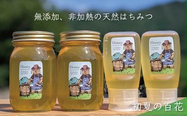 天然蜂蜜 国産蜂蜜 非加熱 生はちみつ 合計1800g 岐阜県 美濃市産 5/31 (蜂蜜600g入りガラス瓶2本、蜂蜜300g入りピタッとボトル2本のセット)B16