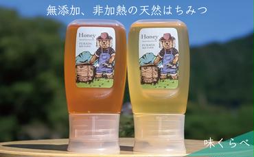 天然蜂蜜 国産蜂蜜 非加熱 生はちみつ 合計600g 岐阜県 美濃市産 味比べ 蜂蜜300g入りピタッとボトル2本セットC5