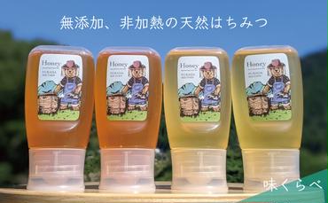 天然蜂蜜 国産蜂蜜 非加熱 生はちみつ 合計1200g 岐阜県 美濃市産 味比べ 蜂蜜300g入りピタッとボトル4本セットC6