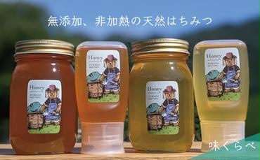 天然蜂蜜 国産蜂蜜 非加熱 生はちみつ 合計1800g 岐阜県 美濃市産 味比べセット (蜂蜜600g入りガラス瓶各2本、蜂蜜300g入りピタッとボトル各2本)C8