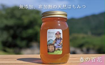 合計600g 天然蜂蜜 国産蜂蜜 非加熱 生はちみつ 岐阜県 美濃市産 春 (蜂蜜600g入りガラス瓶1本)A5