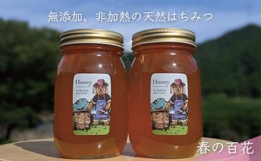 合計1200g 天然蜂蜜 国産蜂蜜 非加熱 生はちみつ 岐阜県 美濃市産 春 (蜂蜜600g入りガラス瓶2本セット)A6