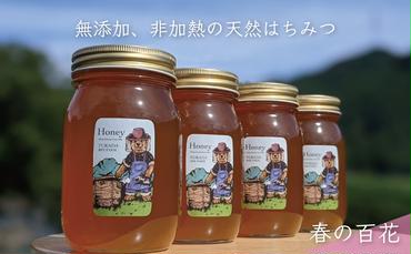 合計2400g 天然蜂蜜 国産蜂蜜 非加熱 生はちみつ 岐阜県 美濃市産 春 (蜂蜜600g入りガラス瓶4本)A8