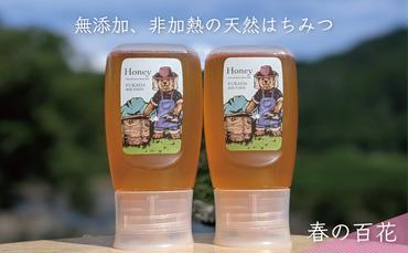 合計600g 天然蜂蜜 国産蜂蜜 非加熱 生はちみつ 岐阜県 美濃市産 春 (蜂蜜300g入りピタッとボトル2本セット)A10