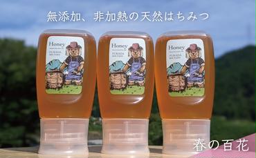 合計900g 天然蜂蜜 国産蜂蜜 非加熱 生はちみつ 岐阜県 美濃市産  春 (蜂蜜300g入りピタッとボトル3本セット)A11