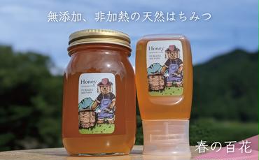合計900g 天然蜂蜜 国産蜂蜜 非加熱 生はちみつ 岐阜県 美濃市産 春 (蜂蜜600g入りガラス瓶1本,蜂蜜300g入りピタッとボトル1本のセット)A15