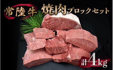 焼肉ブロックセット 合計4kg 牛肉 サーロイン ミスジ カルビ