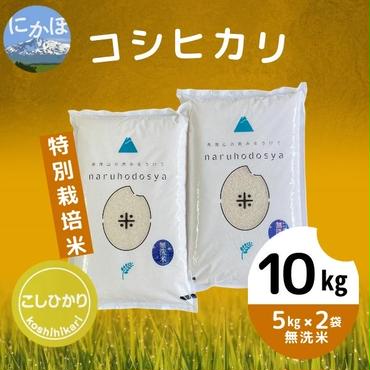【令和5年産】【無洗米】特別栽培米コシヒカリ5kg×2