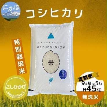 【令和5年産】<9ヵ月定期便>【無洗米】特別栽培米コシヒカリ5kg×9回