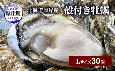 北海道 厚岸産 殻付き 牡蠣 Lサイズ 30個