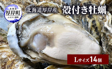 北海道 厚岸産 殻付き 牡蠣 Lサイズ 14個