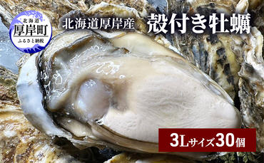 北海道 厚岸産 殻付き 牡蠣 3Lサイズ 30個