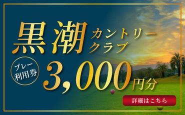 【CF-R5cbs】 kochi黒潮カントリークラブ ご利用券 3,000円