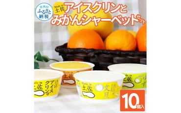 【CF-R5cbs】 Made in 土佐のアイスクリンと柑橘シャーベットセット