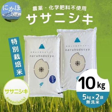 【令和5年産】栽培期間中 農薬・化学肥料不使用 【無洗米】特別栽培米ササニシキ5kg×2