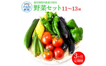 【CF-R5cdm】 《3カ月定期便》栽培期間中農薬不使用！ 野菜セット（11‐13種類）