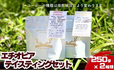 エチオピア テイスティングセット 250g × 2種類　粉：中挽き ドリンク コーヒー スペシャルティコーヒー