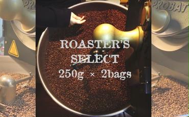 ロースターズセレクト 250g×2種類のおすすめスペシャルティコーヒー ドリンク コーヒー スペシャルティコーヒー