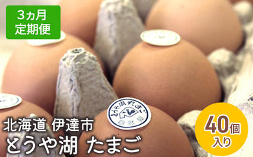 【3ヵ月 定期便】 北海道 伊達市 とうや 卵  40個 入り たまご