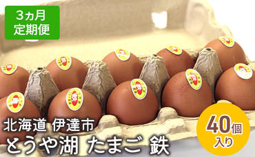 【3ヵ月 定期便】 北海道 伊達市 とうや 卵 鉄  40個 入り たまご