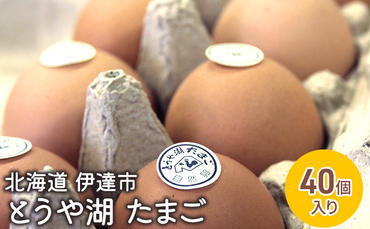 北海道 伊達市 とうや 卵  40個 入り たまご