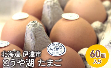 北海道 伊達市 とうや 卵  60個 入り たまご