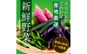 【CF-R5oni】 朝どれ！野菜の詰合せ／芸西村で採れた新鮮な野菜6～8種類をお届けします。