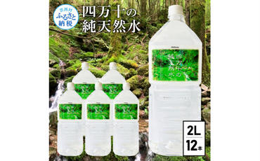 【CF-R5oni】 四万十の純天然水（2L×6本）×2ケース