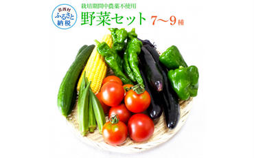 【CF-R5oni】 栽培期間中農薬不使用！ 野菜セット（7‐9種類）