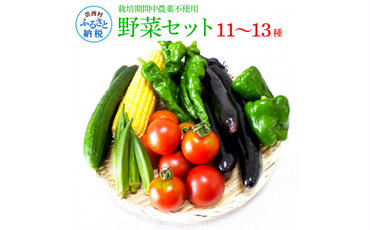 【CF-R5oni】 栽培期間中農薬不使用！ 野菜セット（11‐13種類）