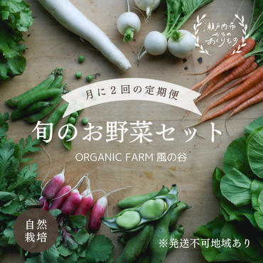 ORGANIC FARM 風の谷 旬 の 野菜 セット 9ヶ月 定期便 （月2回お届けコース）
