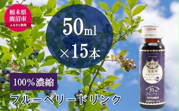 無添加 砂糖不使用 のまるっと 100％ 濃縮 ブルーベリードリンク 3箱 （50ml×15本） 果汁飲料 野菜飲料 ブルーベリージュース